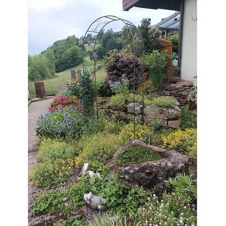 Ferienwohnung Wiesenblick 上哈尔默斯巴赫 外观 照片